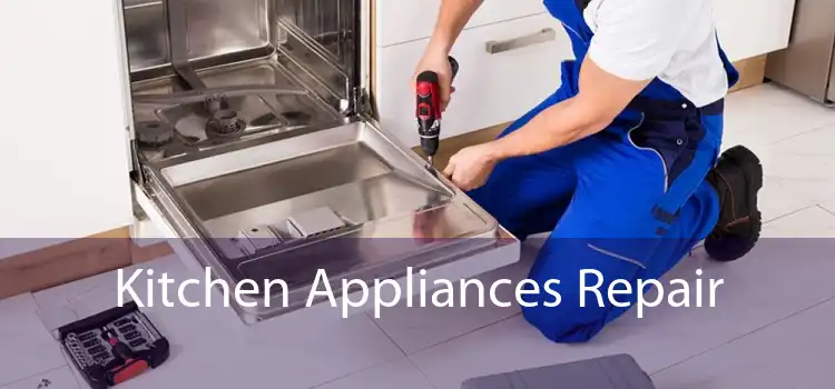 Kitchen Appliances Repair 