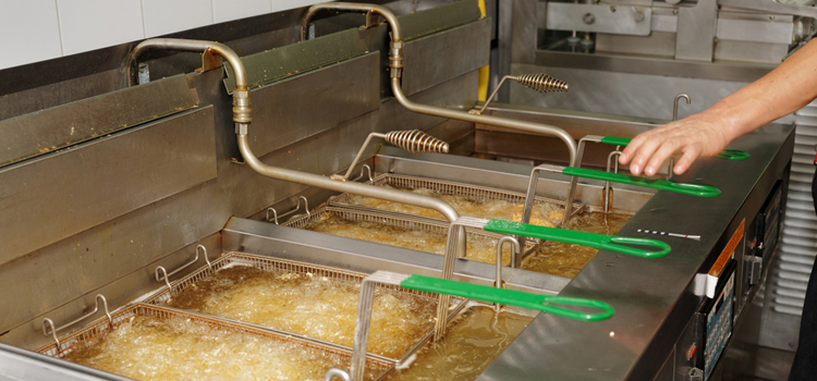 Sub Zero Commercial Fryer Repair in Brantford