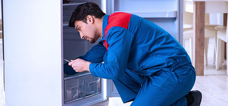 Sub Zero Freezer Repair Services in Brantford